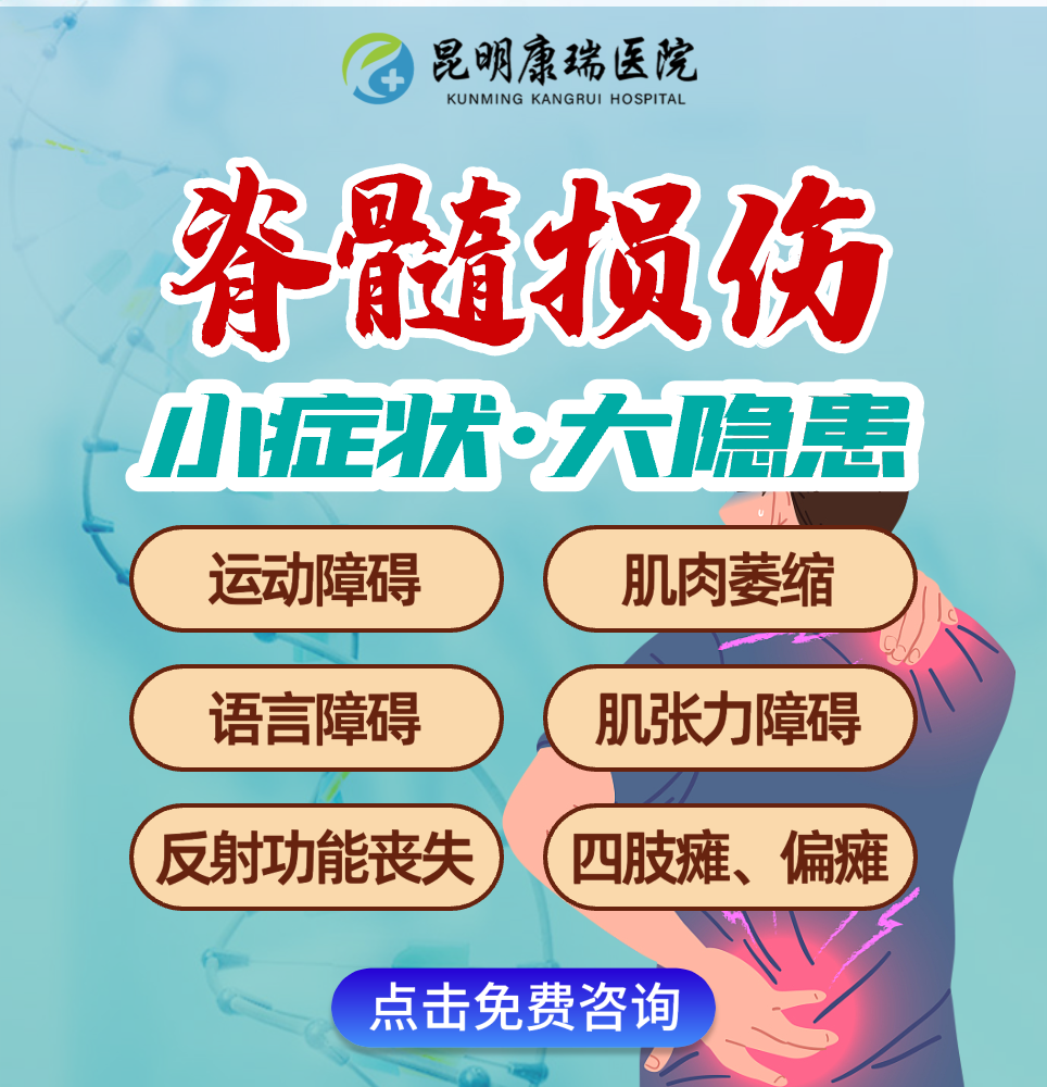 脊髓损伤  (1)